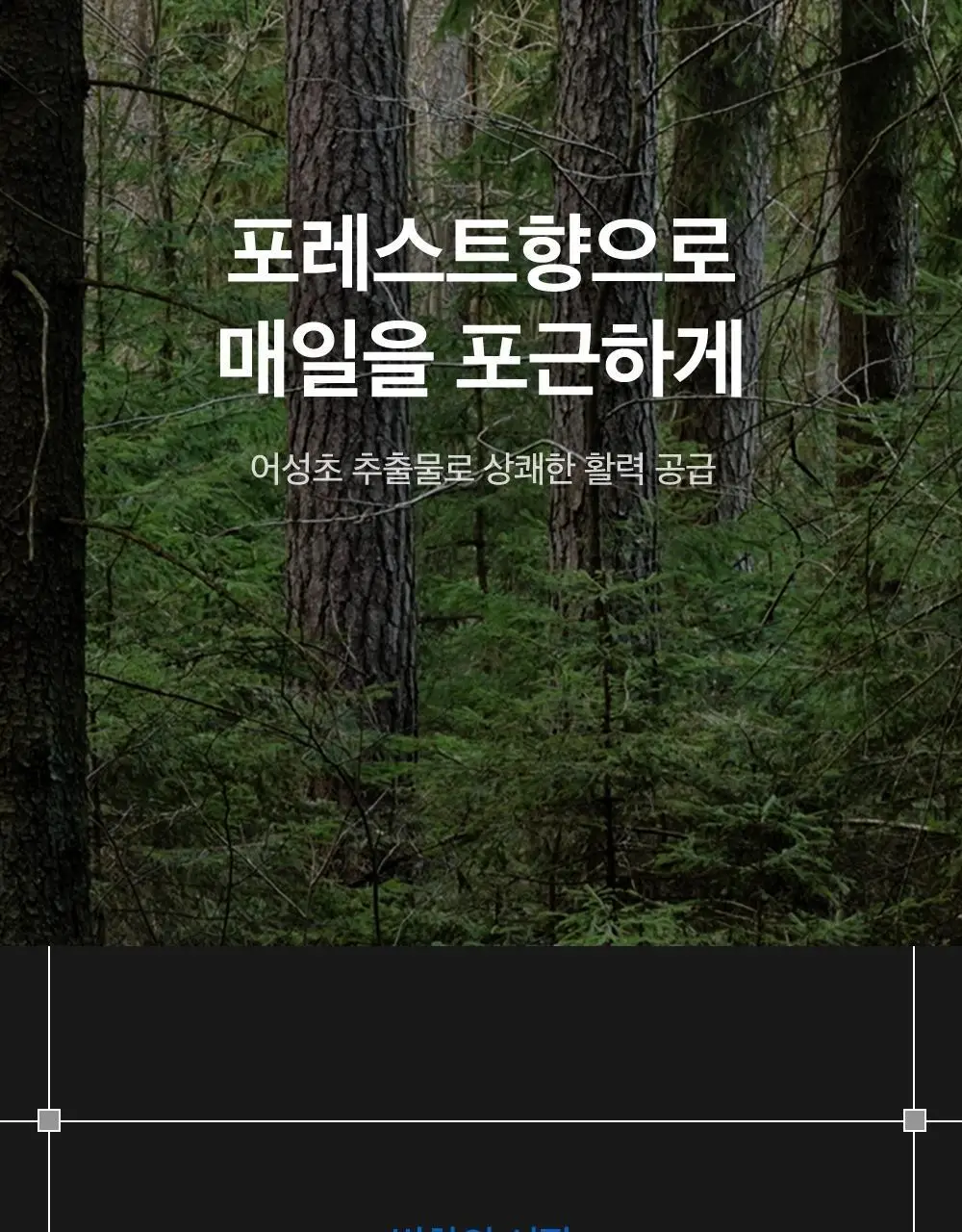 [탈모증상개선] 리필드 사이토카인 한/중/미 단독 특허 탈모샴푸 380ml 3종 택 1 상세페이지 36